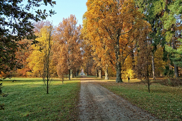 Фото Замок Сихров 15